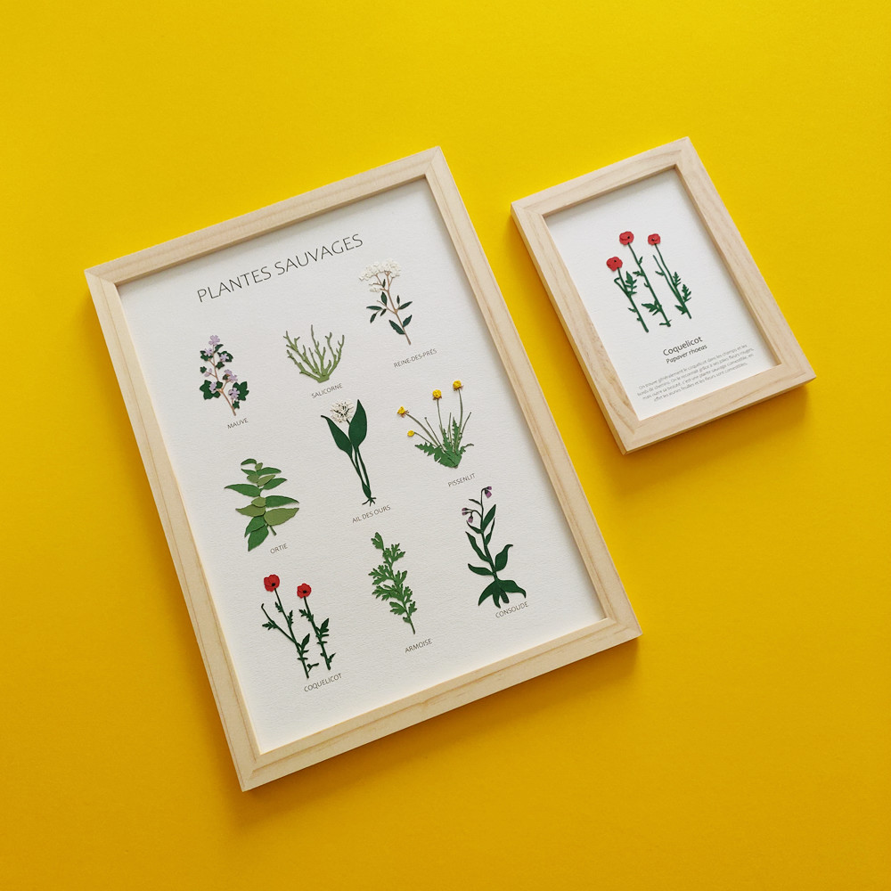 Illustrations florales - duo